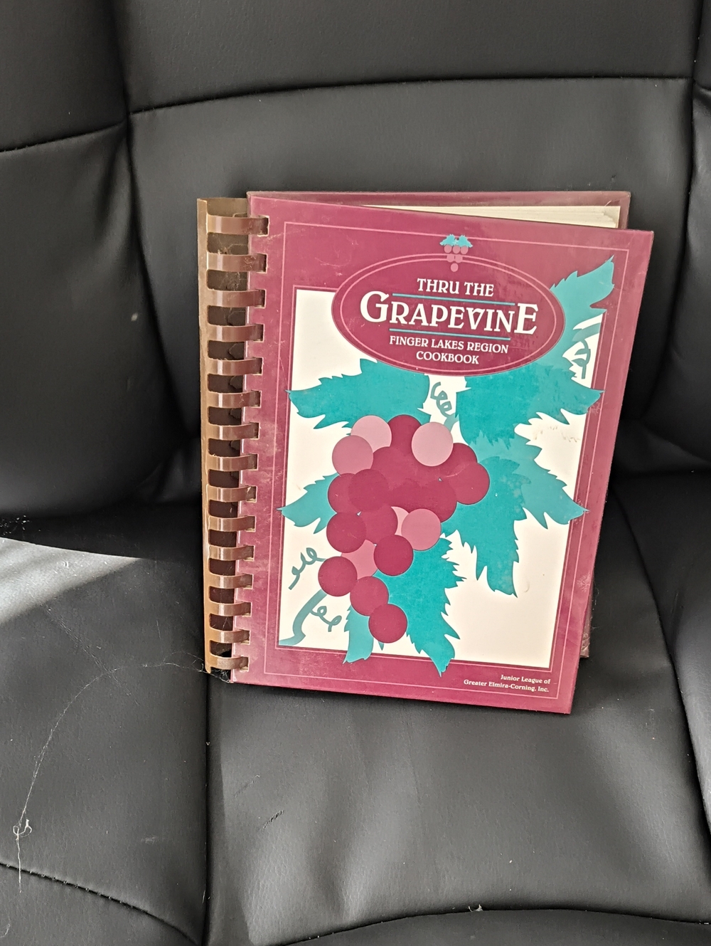 Thru the Grapevine Greater Elmira New York Junior League 1991